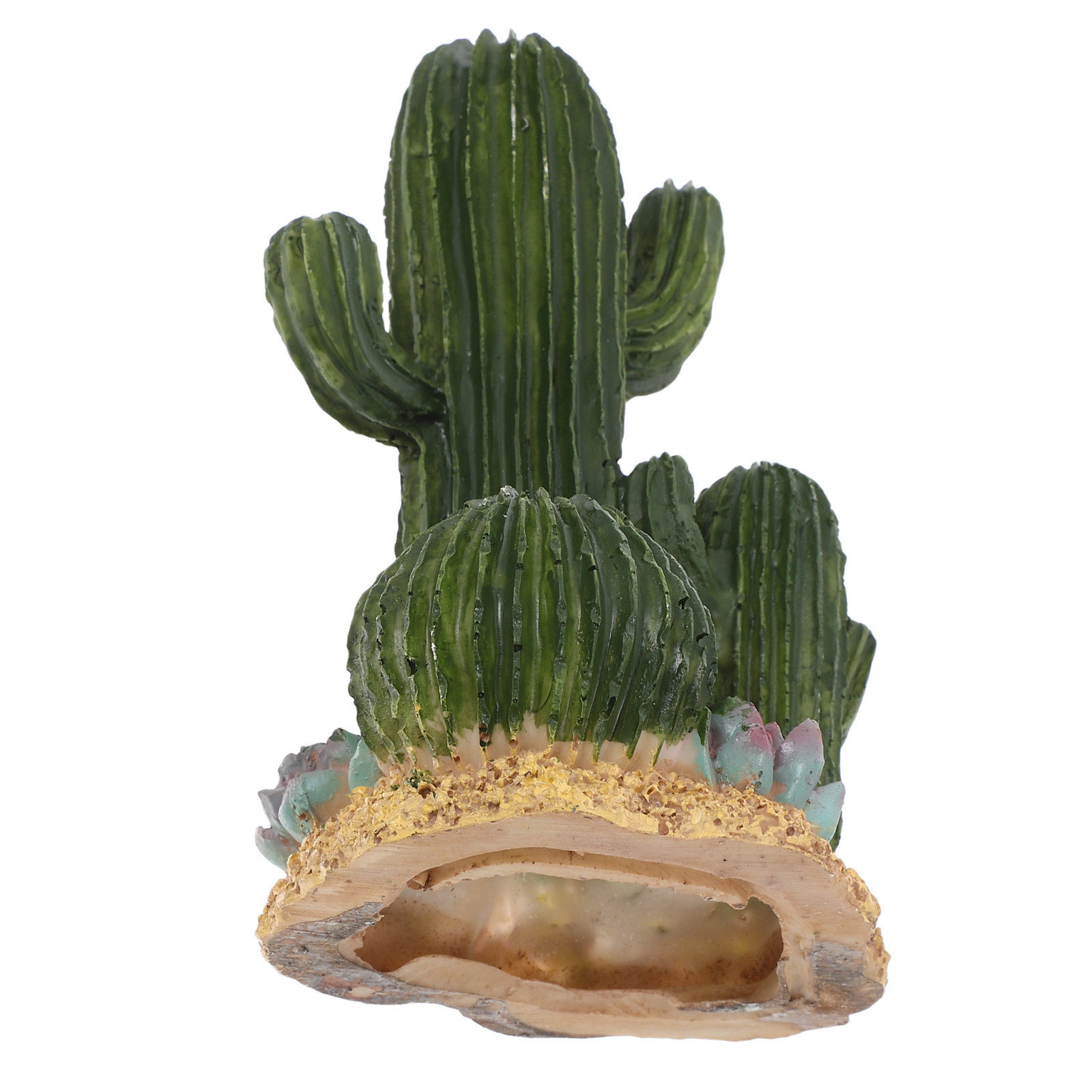 Terrarium Moss Art - Pianta di Cactus Artificiale Grande, Decorazione