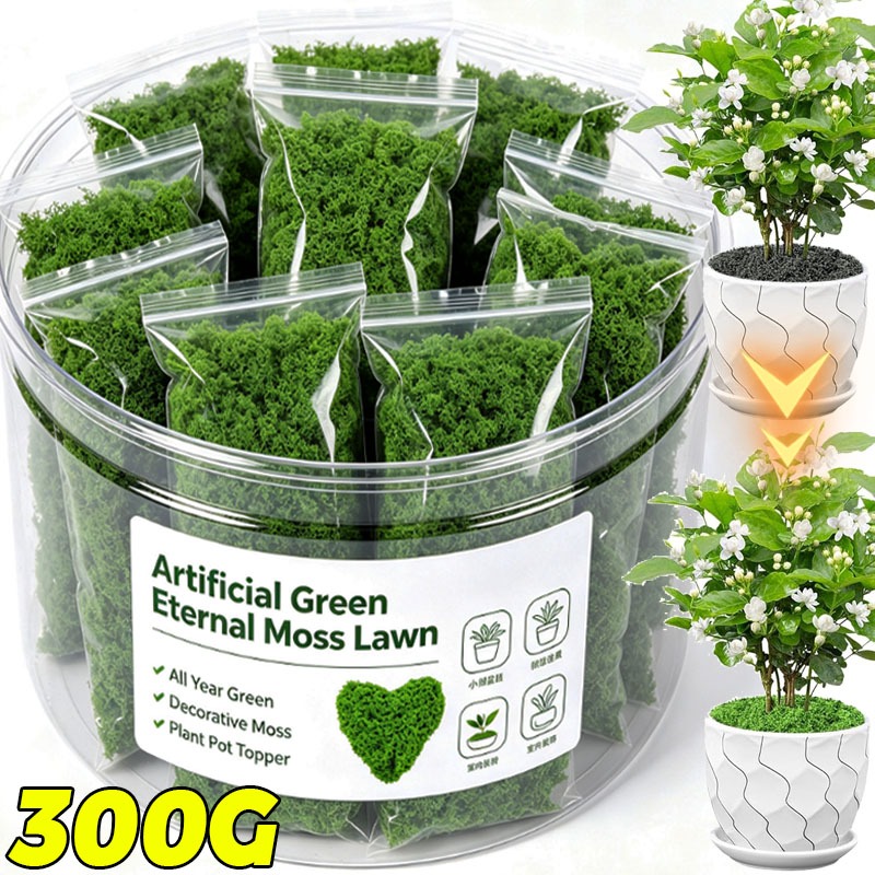 Terrarium Moss Art - Piante Verdi Artificiali, Muschio Eterno per