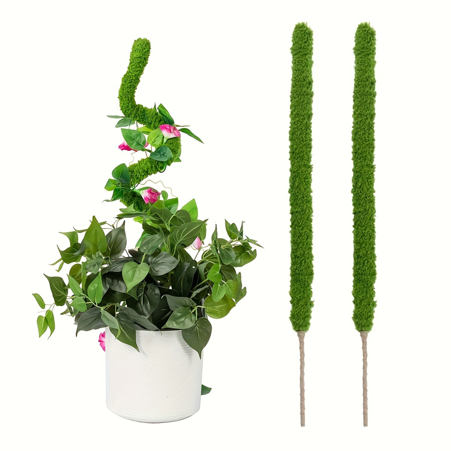 Terrarium Moss Art - 1 pezzo di bastone di muschio