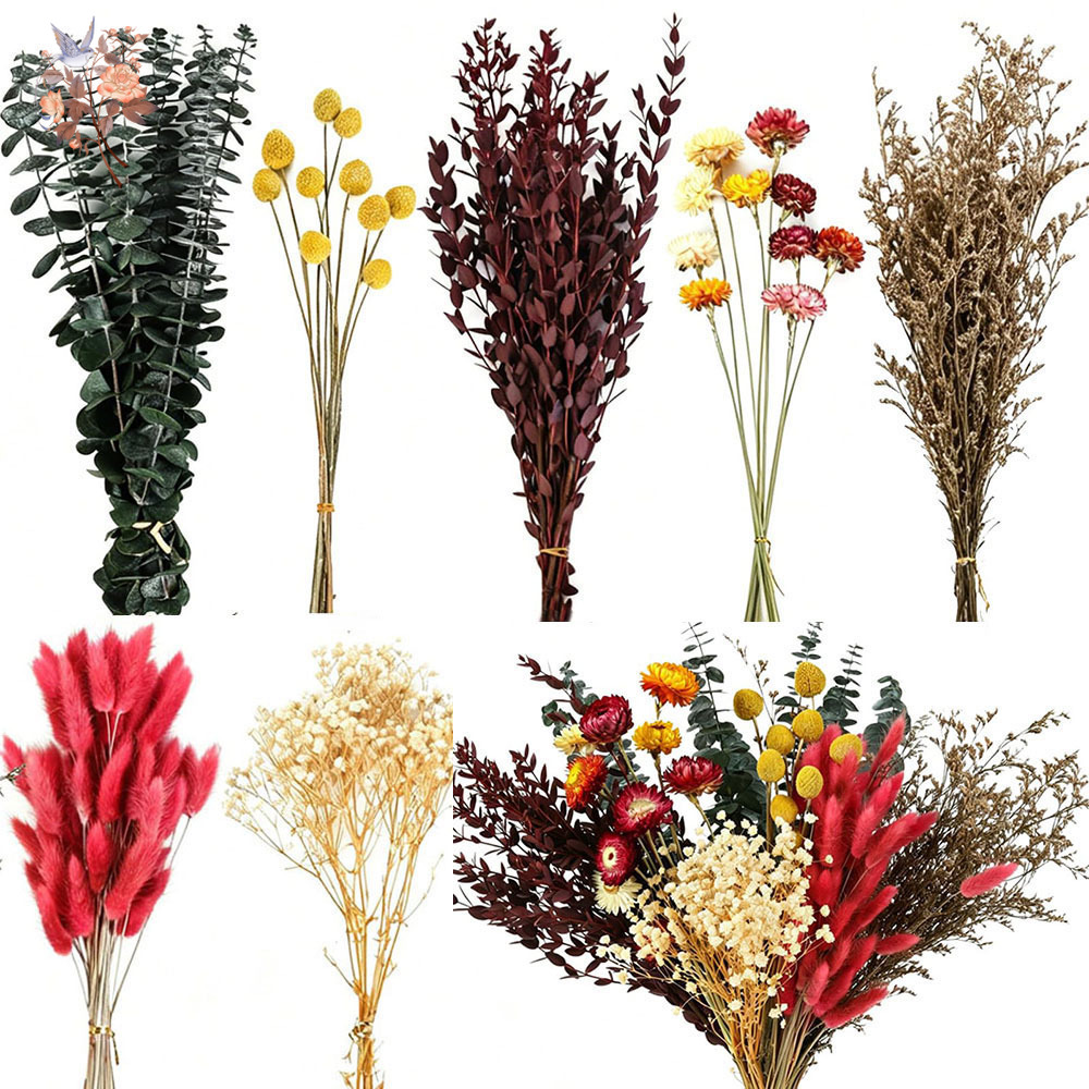 Set di Fiori Secchi in Grandi  - Dried Flower Bulk recensione e prezzo