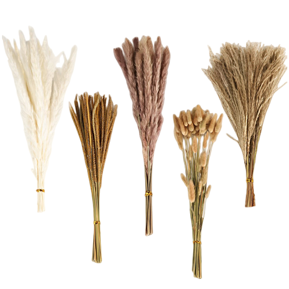 Bouquet di Fiori Secchi Misti  - Dried Flower Bulk recensione e prezzo