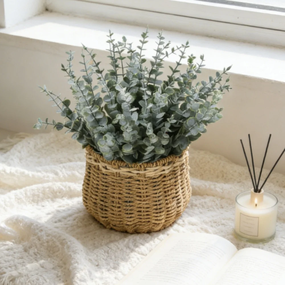 Bouquet di foglie di eucalipto - Terrarium Moss Art recensione e prezzo