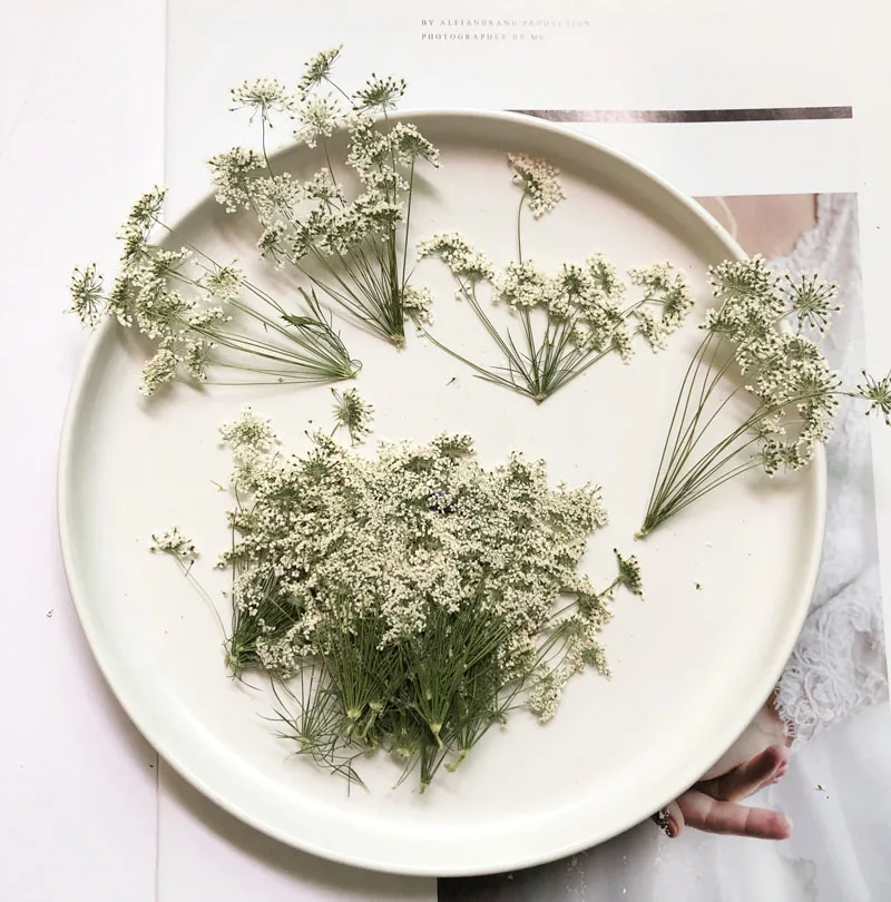 5-7 cm/12 pezzi, piccoli fiori - Dried Flower Bulk recensione e prezzo