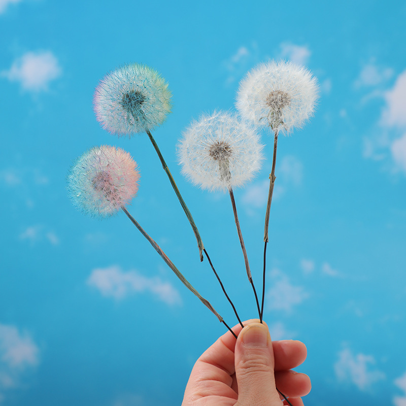 Kit Fai-da-te per Resina Eposs - Resin Crafts recensione e prezzo