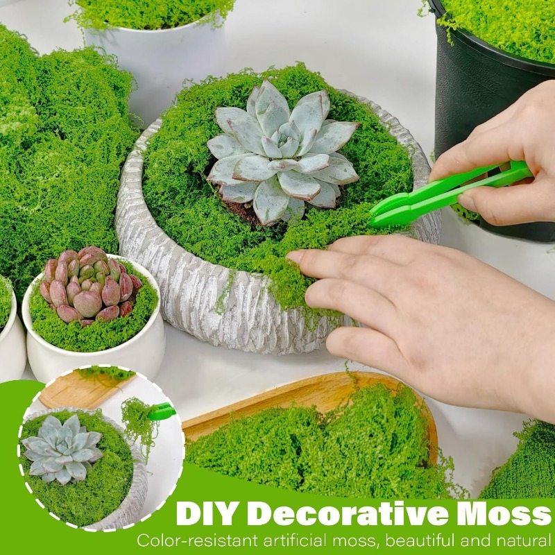 Piante Verdi Artificiali, Musc - Terrarium Moss Art recensione e prezzo