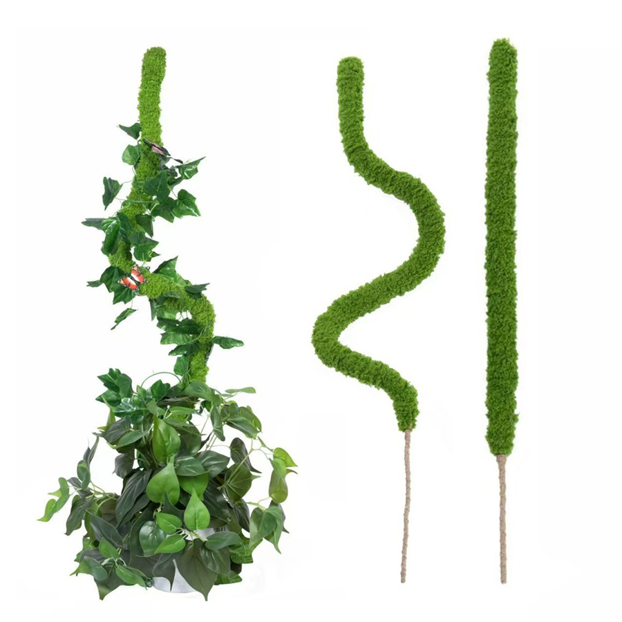 1 pezzo di bastone di muschio  - Terrarium Moss Art recensione e prezzo