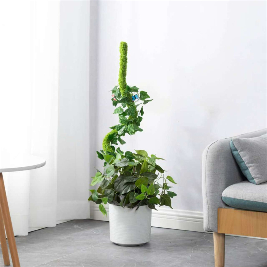 1 pezzo di bastone di muschio  - Terrarium Moss Art recensione e prezzo